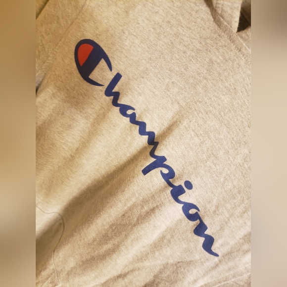 Mens Champion Hoodie - Picture 2 of 5